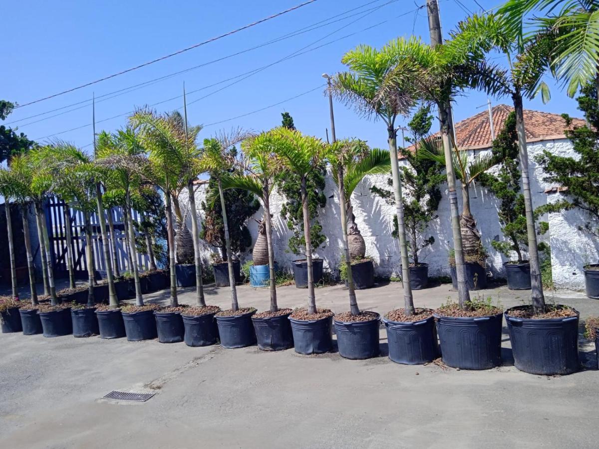 Pousada Sereia Jofisa Itanhaém المظهر الخارجي الصورة