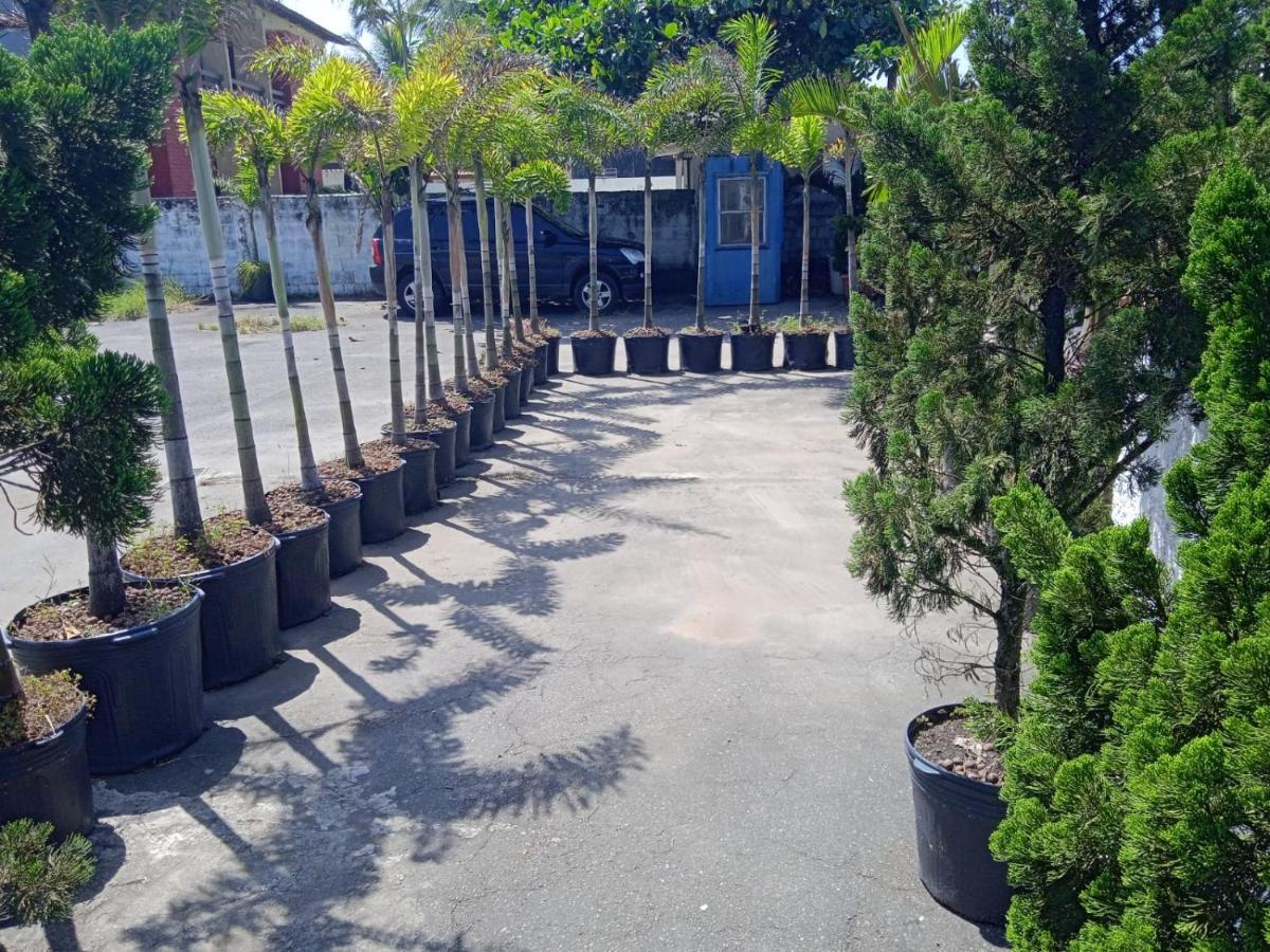 Pousada Sereia Jofisa Itanhaém المظهر الخارجي الصورة